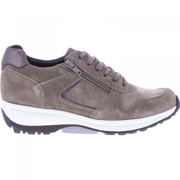 Xsensible Stretchwalker / Modell: Jersey / Taupe Velours-Stretch / 300422-501 / Damen Sneakers