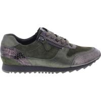 Hassia / Barcelona / Oliv Blush Dragée Ziegenleder / Wechselfußbett / Art: 6-301915-5500 / Damen